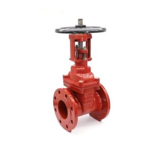 OS&Y FLANGED GATE VALVE